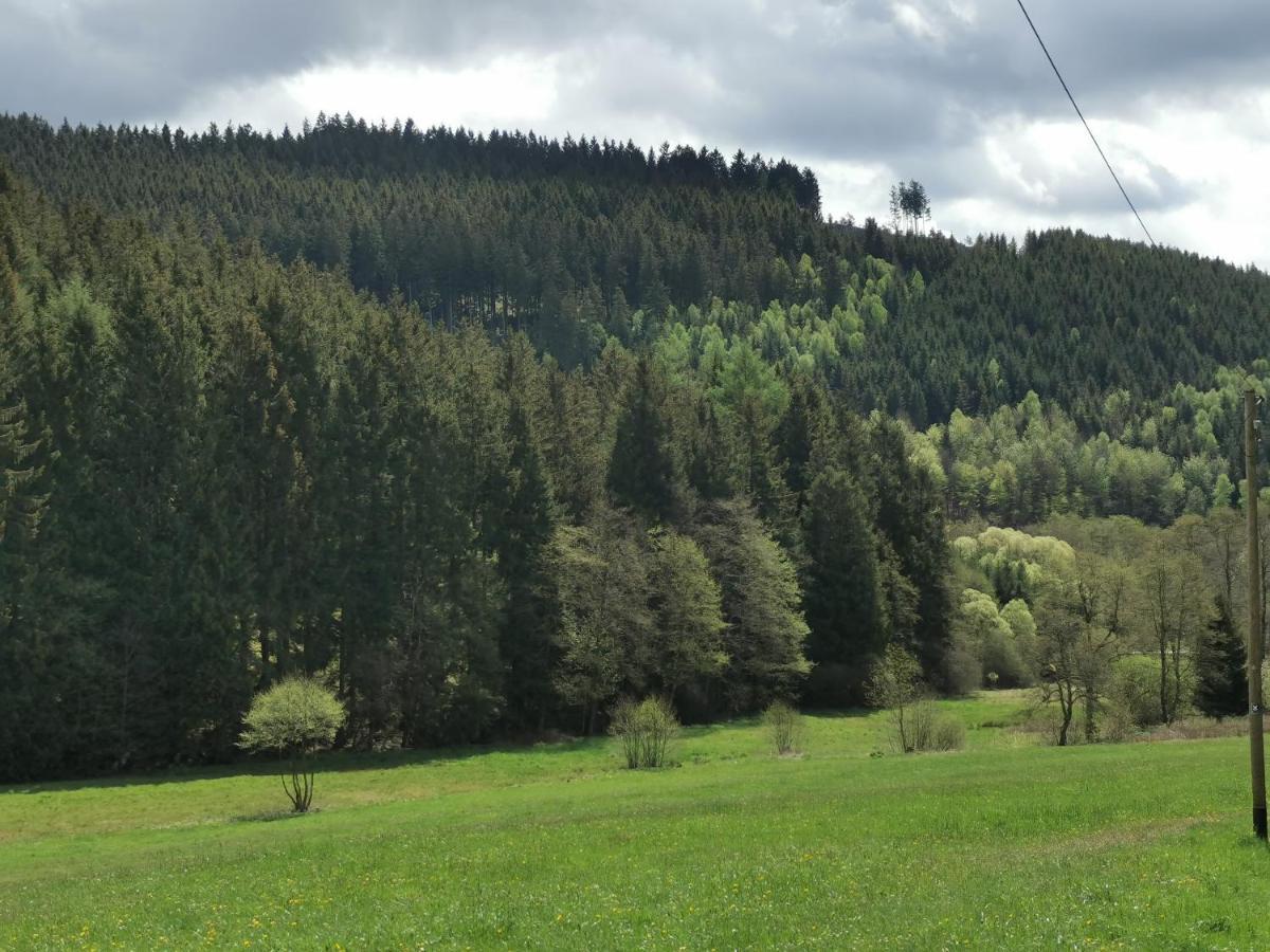 Ferienhaus Mit Ausblick Brilon Extérieur photo