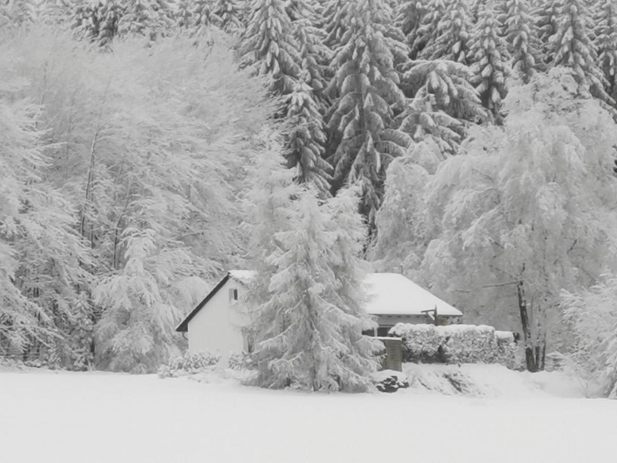 Ferienhaus Mit Ausblick Brilon Extérieur photo